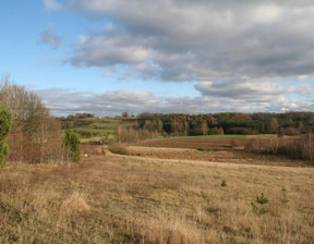 Rolny na sprzedaż, Kartuski (pow.) Chmielno (gm.) Borzestowo 480, 980 000 zł, 43 288 m2, PO01911