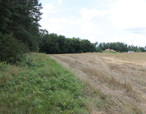 Działka na sprzedaż, Wejherowski (pow.) Wejherowo (gm.) Ustarbowo Leśna, 425 000 zł, 10 784 m2, PO01918