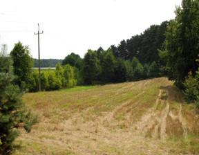 Działka na sprzedaż, Starogardzki Osiek Skórzenno, 5 213 800 zł, 26 200 m2, FI019782