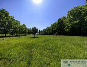 Działka na sprzedaż, Grodziski Żabia Wola Ojrzanów, 2 205 000 zł, 11 025 m2, 236/7649/OGS