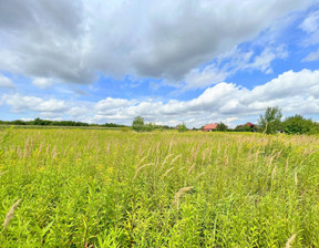 Działka na sprzedaż, Wrocławski Długołęka Bielawa Zawilcowa, 1 900 000 zł, 13 026 m2, 43691/3877/OGS