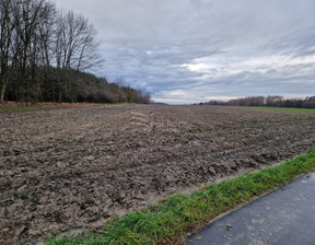 Działka na sprzedaż, Raciborski Racibórz Brzezie Rybnicka, 118 790 zł, 3394 m2, 42693/3877/OGS