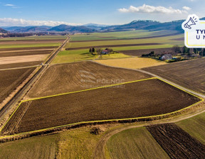 Działka na sprzedaż, Kłodzki Kłodzko Żelazno, 73 000 zł, 7300 m2, 41658/3877/OGS