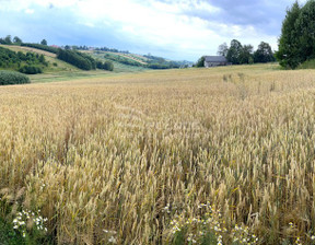 Działka na sprzedaż, Miechowski Charsznica Podlesice, 110 000 zł, 4830 m2, 42164/3877/OGS