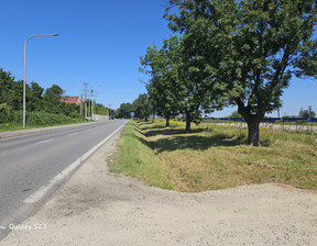 Handlowo-usługowy na sprzedaż, Wrocławski (pow.) Siechnice (gm.) Żerniki Wrocławskie Strzelińska, 1 950 000 zł, 5250 m2, 509/11978/OGS