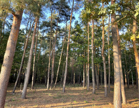 Działka na sprzedaż, Piaseczyński Konstancin-Jeziorna Chylice, 1 221 000 zł, 1656 m2, 650991