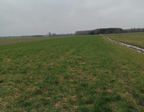 Działka na sprzedaż, Miński Siennica Lasomin, 373 800 zł, 17 800 m2, 2921/4857/OGS