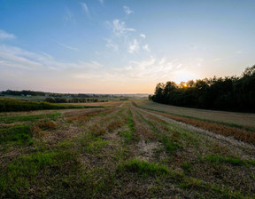 Działka na sprzedaż, Krakowski (pow.) Michałowice (gm.) Więcławice Dworskie Dworska, 1 150 000 zł, 11 080 m2, 5