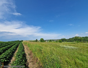 Działka na sprzedaż, Krakowski Skała Cianowice Małe, 267 000 zł, 4870 m2, PAC-GS-7445-2