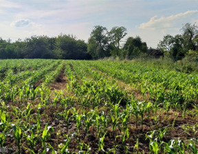 Działka na sprzedaż, Krakowski Wielka Wieś Będkowice, 750 000 zł, 2980 m2, PAC-GS-7682-2