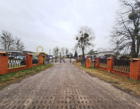 Magazyn na sprzedaż, Brodnica Żabno, 1 950 000 zł, 790 m2, 208329