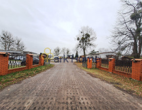 Magazyn na sprzedaż, Brodnica Żabno, 1 950 000 zł, 790 m2, 208329