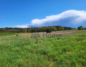 Handlowo-usługowy na sprzedaż, Trzciel, 2 500 000 zł, 15 100 m2, 574213