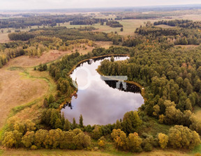 Rolny na sprzedaż, Giżycki Wydminy Malinka, 7 500 000 zł, 153 738 m2, 530016