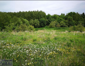 Działka na sprzedaż, Krakowski Kocmyrzów-Luborzyca Baranówka, 650 000 zł, 6000 m2, 31584