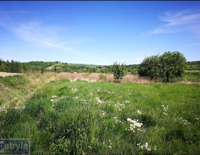 Działka na sprzedaż, Krakowski Wielka Wieś Tomaszowice, 1 400 000 zł, 3020 m2, 31572