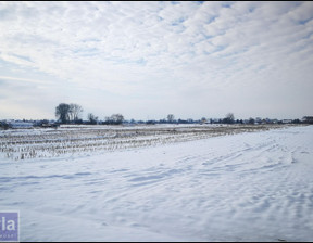 Budowlany na sprzedaż, Krakowski Igołomia-Wawrzeńczyce Igołomia, 300 000 zł, 3500 m2, 32400