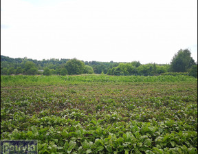 Działka na sprzedaż, Krakowski Michałowice, 500 000 zł, 1600 m2, 32440