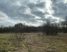 Działka na sprzedaż, Wielicki Biskupice Bodzanów, 2 000 000 zł, 20 000 m2, 32115