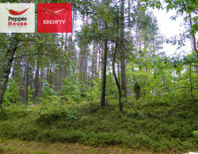 Leśne na sprzedaż, Kościerski Kościerzyna Skorzewo, 240 640 zł, 3008 m2, PH937231