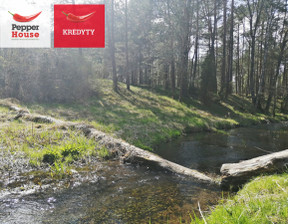 Budowlany na sprzedaż, Starogardzki Osieczna Zimne Zdroje, 335 000 zł, 13 218 m2, PH273876