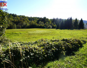 Działka na sprzedaż, Gorlicki (pow.) Sękowa (gm.) Sękowa, 350 000 zł, 8200 m2, 42575