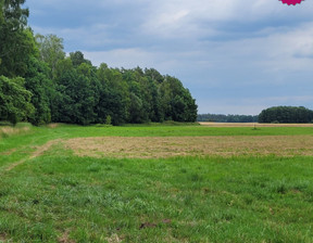 Rolny na sprzedaż, Goleniowski Goleniów Tarnówko Wieś, 220 000 zł, 4000 m2, 5653/MKN/DZS-276247