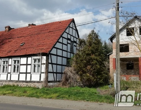 Dom na sprzedaż, Gryfiński Mieszkowice Obrzeża, 460 000 zł, 178 m2, 11869/MKN/ODS-273103