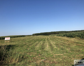 Działka na sprzedaż, Kwidzyński (Pow.) Gardeja (Gm.) Czarne Małe Czarne Małe, 54 000 zł, 971 m2, 0207