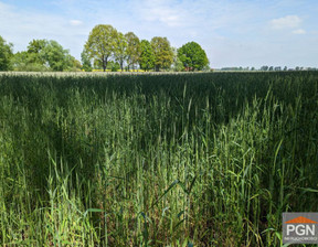 Działka na sprzedaż, Obornicki Rogoźno Budziszewko, 300 000 zł, 44 000 m2, ABWH306296-306296