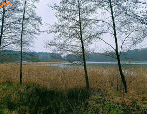 Działka na sprzedaż, Czarnkowsko-Trzcianecki Wieleń Mężyk Biała, 259 000 zł, 3680 m2, DAW306324-306324