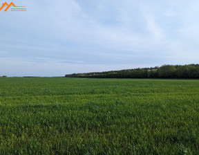 Działka na sprzedaż, Obornicki Oborniki Podlesie Podlesie, 119 000 zł, 12 000 m2, WLKP2306350-306350