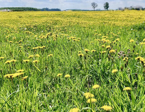 Działka na sprzedaż, Gryficki Gryfice Gryfice Okolica, 102 000 zł, 1226 m2, URG067306497-306497