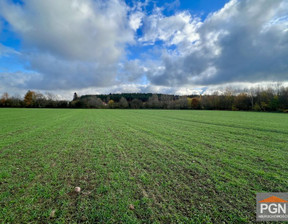 Działka na sprzedaż, Kamieński Wolin Laska, 750 000 zł, 33 900 m2, lut25306389-306389