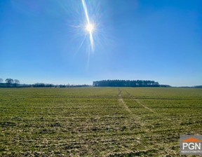 Rolny na sprzedaż, Gryficki Gryfice, 120 000 zł, 3055 m2, SLS024306602-306602