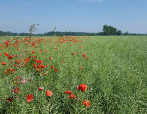 Budowlany na sprzedaż, Gryficki Trzebiatów Trzebiatów Okolica, 166 000 zł, 2316 m2, URG067306479-306479