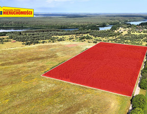 Działka na sprzedaż, Szczecinecki Biały Bór Dołgie, 420 000 zł, 54 000 m2, 0506837