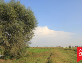 Działka na sprzedaż, Wielicki (pow.) Niepołomice (gm.) Niepołomice, 13 100 000 zł, 26 244 m2, 2006