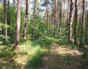 Leśne na sprzedaż, Wołomiński Turze, 120 000 zł, 17 700 m2, G-82933-13