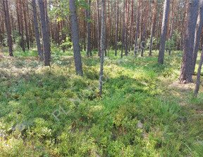 Leśne na sprzedaż, Wołomiński Turze, 30 000 zł, 3800 m2, G-82934-13