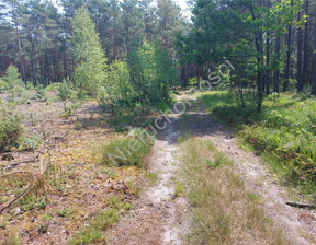 Leśne na sprzedaż, Wołomiński Turze, 30 000 zł, 3800 m2, G-82934-13