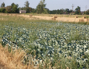 Działka na sprzedaż, Miński Wielgolas Duchnowski, 1 540 000 zł, 16 000 m2, G-10994-13