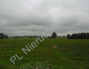 Rolny na sprzedaż, Miński Dębowce, 221 000 zł, 36 800 m2, G-3610-13/E124