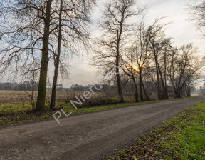 Budowlany na sprzedaż, Grodziski Stare Budy, 550 000 zł, 8800 m2, G-90512-6