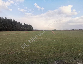 Rolny na sprzedaż, Żyrardowski Krze Duże, 2 275 000 zł, 65 000 m2, G-77242-6