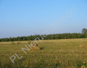 Rolny na sprzedaż, Grodziski Ciepłe, 445 000 zł, 8900 m2, G-87335-6