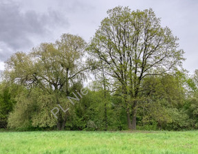 Działka na sprzedaż, Grodziski Grodzisk Mazowiecki, 380 000 zł, 1129 m2, G-86457-5