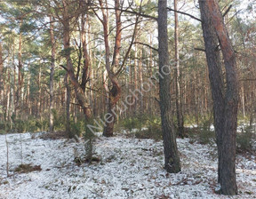 Leśne na sprzedaż, Wołomiński Radzymin, 1 193 000 zł, 26 600 m2, G-142814-0