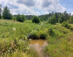 Działka na sprzedaż, Wołomiński (Pow.) Strachówka (Gm.) Kąty-Wielgi, 286 000 zł, 11 000 m2, G-143791-0