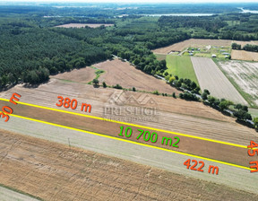 Działka na sprzedaż, Mogileński Strzelno Ostrowo, 100 000 zł, 10 700 m2, 932965